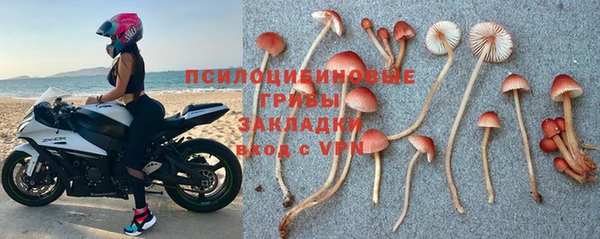 дживик Беломорск