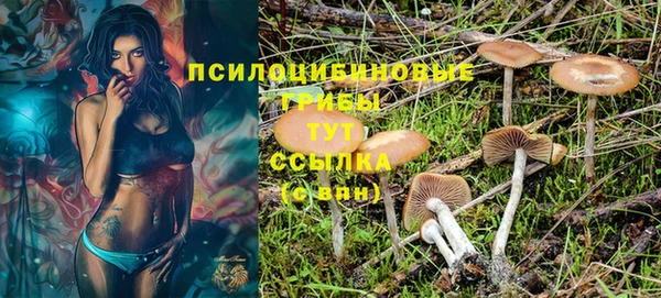 марки lsd Балабаново