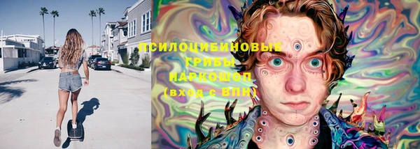 стаф Баксан
